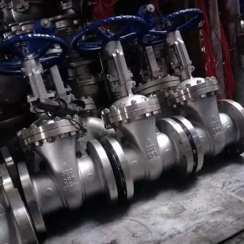Valvola a saracinesca in acciaio inox